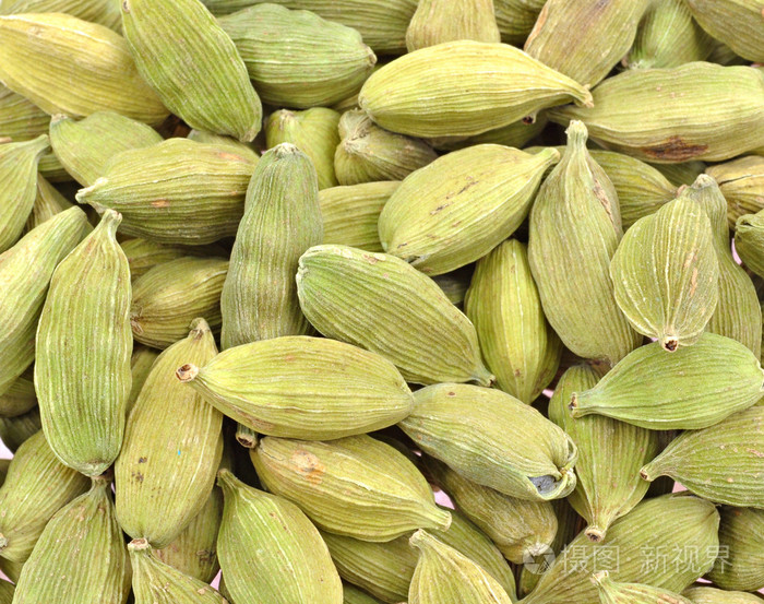 芽的白豆蔻