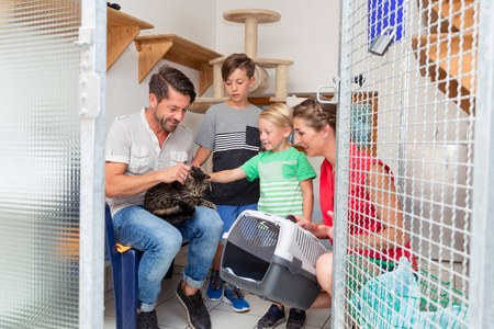 家庭收养猫从动物收容所