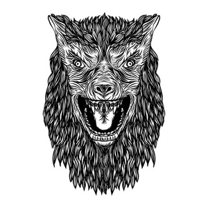 凶猛的狼头.咆哮的狼人愤怒的正面面孔照片