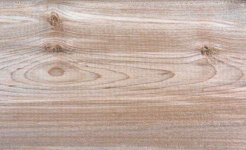 天然针叶林桦木纹纹理图案背景照片