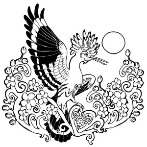 hoopoe 花枝饰品黑白相间的矢量插图