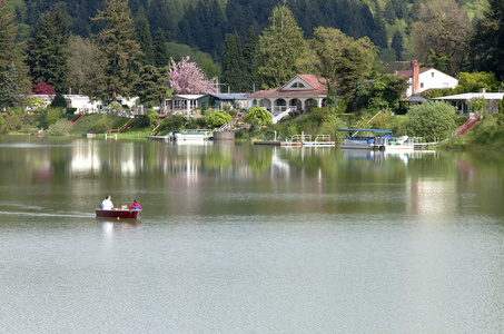 湖前生活 林地 wa