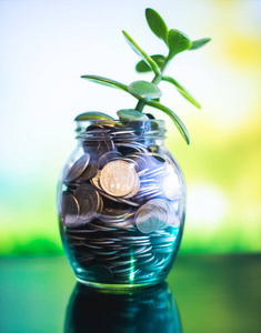 金钱树在一个玻璃罐子与硬币在一个模糊的背景上的自然