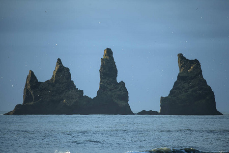 Dyrholaey 悬崖在 Vik 冰岛