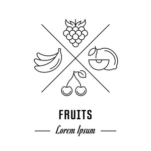 矢量标志水果。时髦的徽章, 标签或横幅为果子。带有元素的行符号。品牌理念