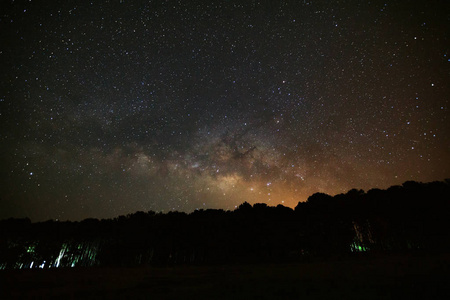 美丽的银河银河和一夜松树的剪影