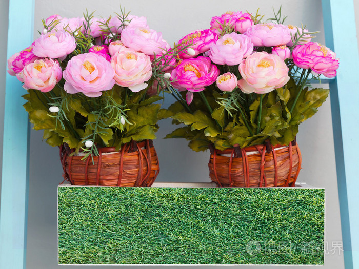 在花盆里的两个粉红色花