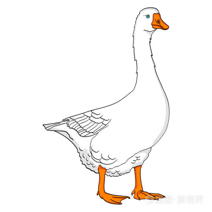 风格平鹅矢量插画平面式剪影轮廓孤立在白色背景上的鹅简笔画鸭矢量插