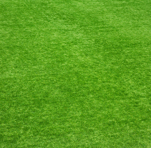 绿色草坪背景图片