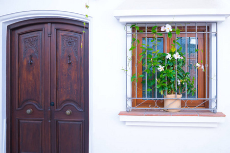 用鲜花装饰的门和窗照片