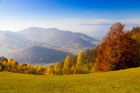 五颜六色的秋天森林风景, 与山在背景