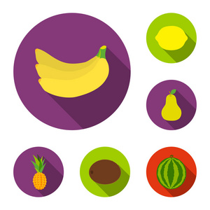 不同的水果平面图标集合中的设计。水果和维生素矢量符号股票 web 插图