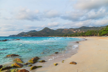 海滩和海夏天自然景观图片