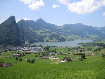 田园风景