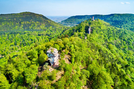 Anebos 和 Scharfenberg 城堡在林中。莱茵兰法国, 德国