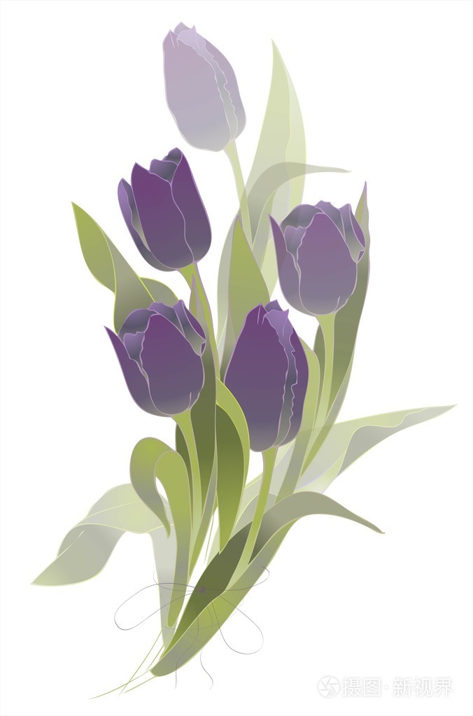 春季郁金香花群插画-正版商用图片04j01z-摄图新视界