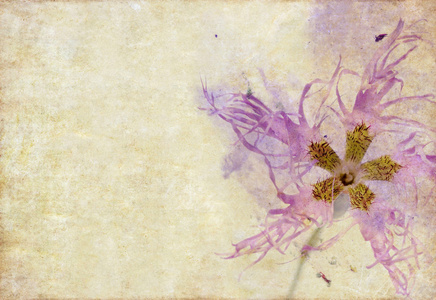 可爱背景图像与花卉元素图片