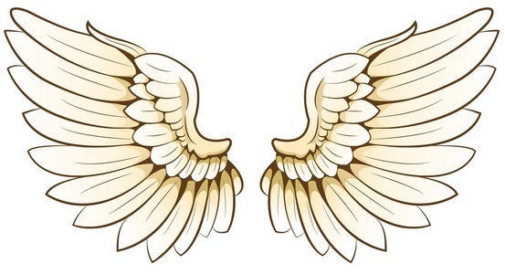 一对翅膀图片