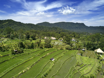 空中观梯田, 巴厘岛, Indonesi