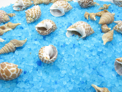 spa 海贝壳和盐