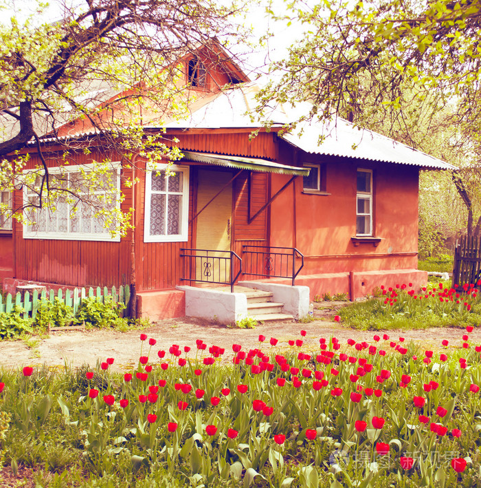 房子和花园与红色郁金香