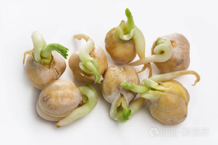 对健康饮食的鹰嘴豆绿芽的特写对象结束白色