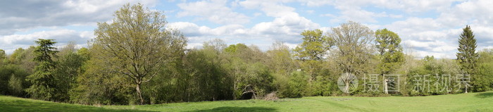 树木在春天的全景视图