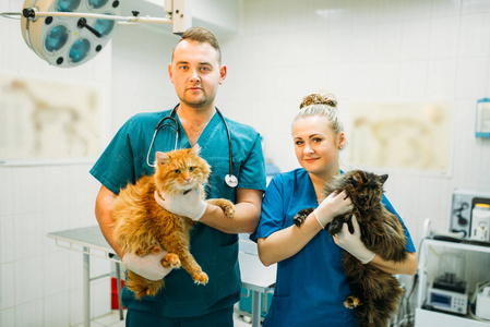 兽医诊所与可爱猫咪合影的专业兽医