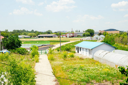 韩国乡村景观