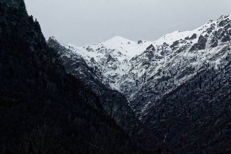 冬季景观。树木, 山脉, 天空和云层覆盖着新的雪。意大利, Alagna