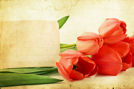 复古美丽的春天郁金香图片