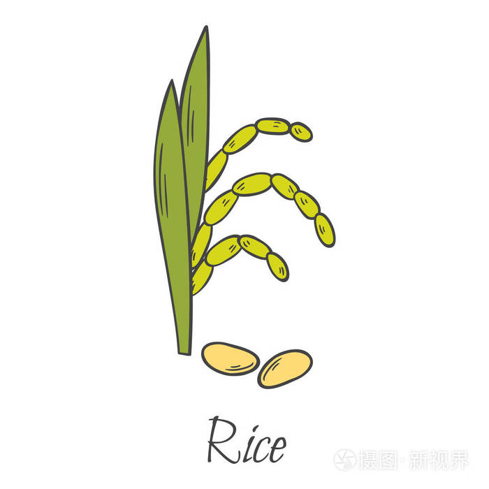 矢量卡通手绘水稻收获