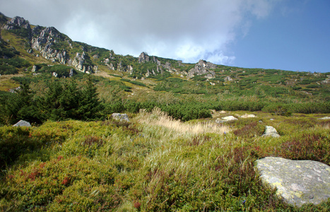 用岩石中苏，波兰山腰