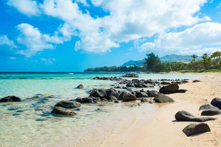 热带海岸的美丽的夏天风景