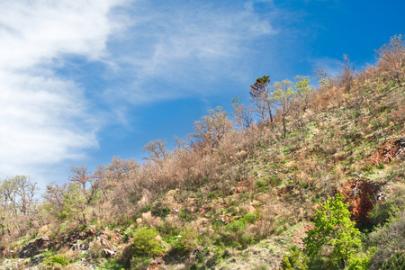 黑山