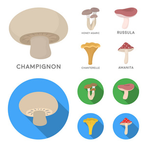 香菇, 亲爱的, 伞, 菇, 鸡油菌。集合图标在卡通, 平面风格矢量符号股票插画网站