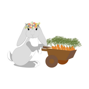 复活节兔子与胡萝卜