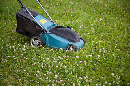 Grassmower 的特写