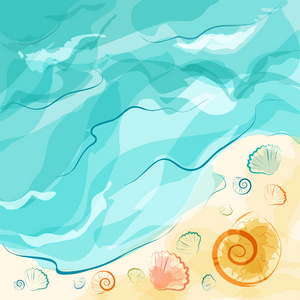 海海滩贝壳为夏季设计