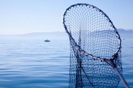在渔网中的单元格在蓝色的大海中着陆渔网照片