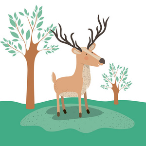 麋鹿动物漫画在森林风景背景图片