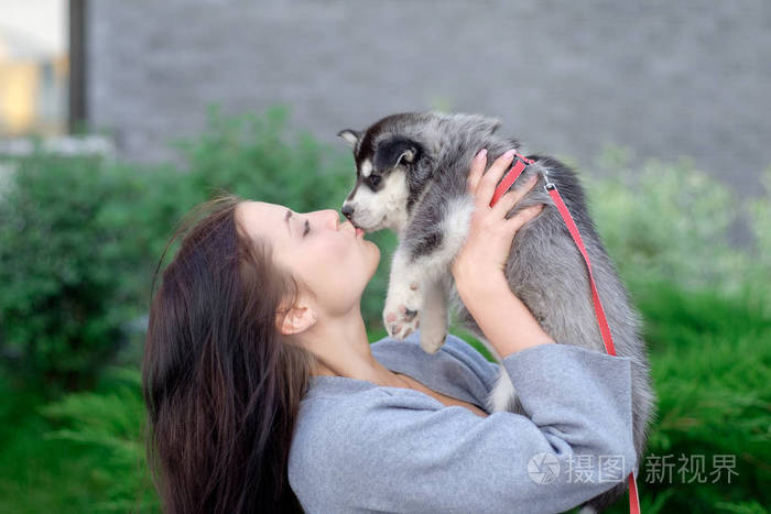 年轻的妇女抱着她最好的朋友小宠物狗哈士奇在她的怀里爱狗