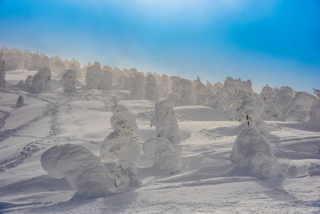 在枣山雪怪物