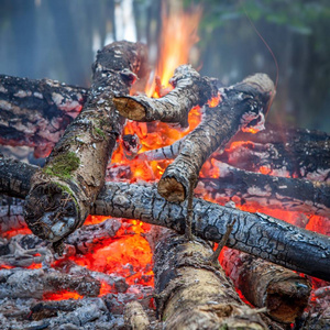 篝火燃烧在森林大火的篝火户外露营营火燃烧木柴日志的篝火照片