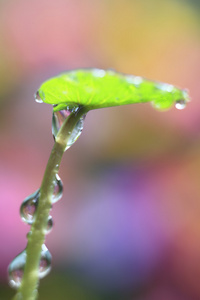 在水滴的性质