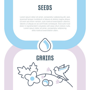 种子和谷物的线图。网页横幅和印刷材料的概念。网站横幅和登陆页面模板