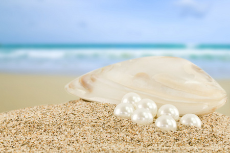 海珍珠图片 海珍珠素材 海珍珠插画 摄图新视界