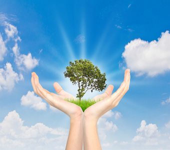 手牵一棵树照片