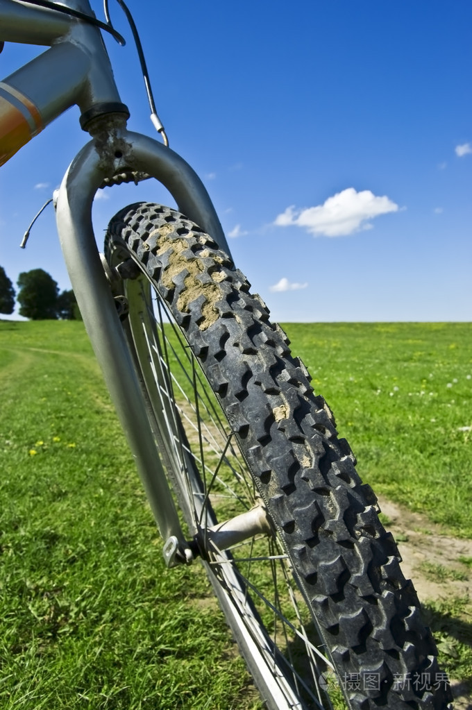 一辆自行车的轮子