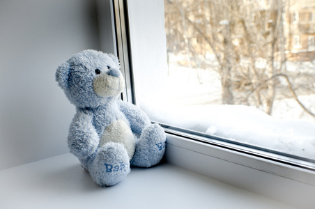 泰迪熊坐在窗前